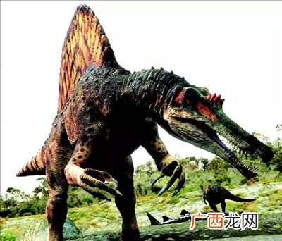恐龙有哪些种类名字,恐龙品种介绍？