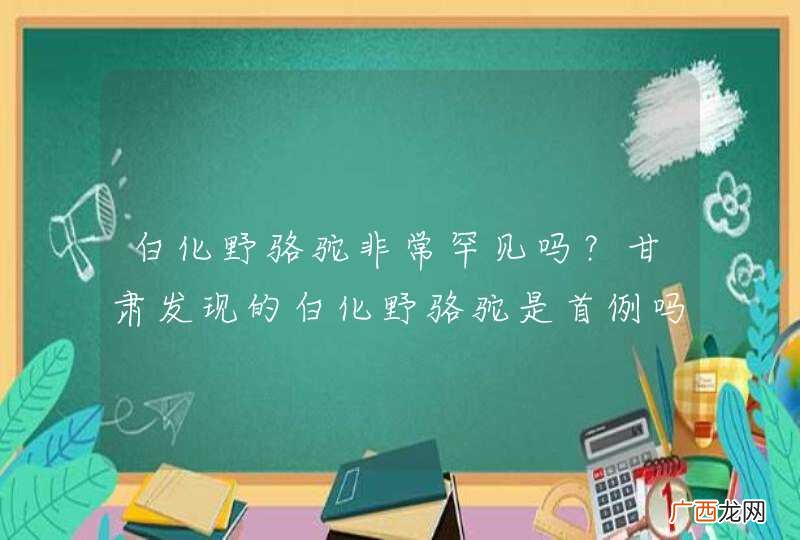 白化野骆驼非常罕见吗？甘肃发现的白化野骆驼是首例吗？