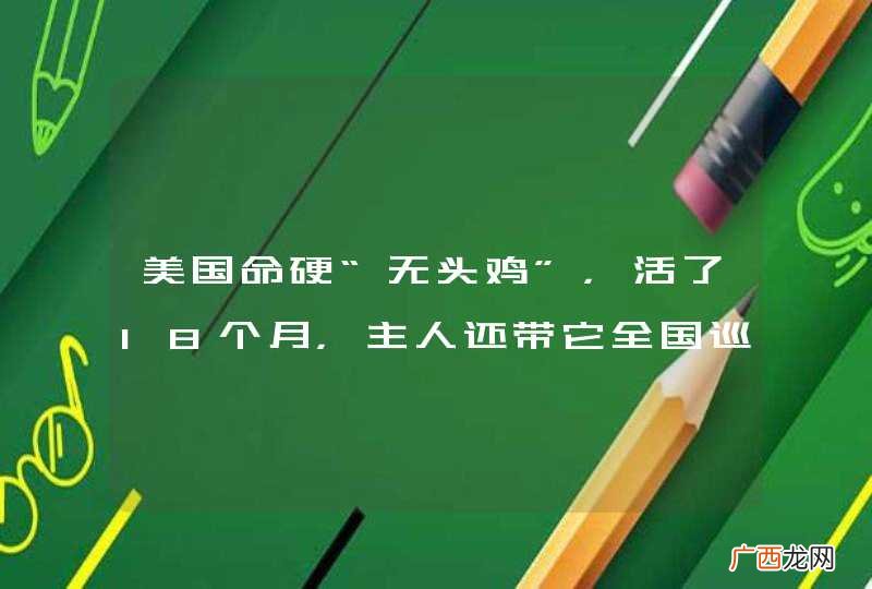 美国命硬“无头鸡”，活了18个月，主人还带它全国巡演，后来怎样?