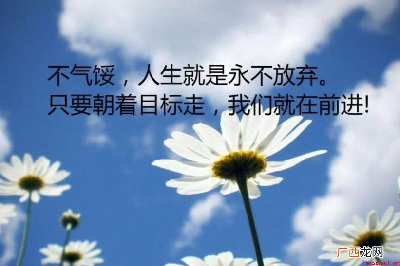 生活励志语录经典短句有什么 生活励志语录经典短句有哪些