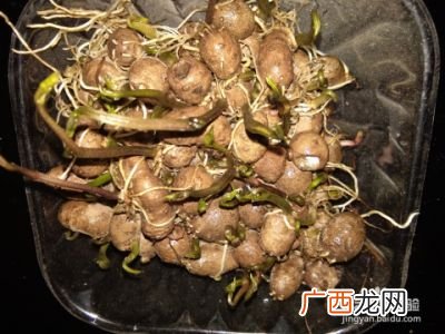 土豆水培如何种植,土豆水栽培法？
