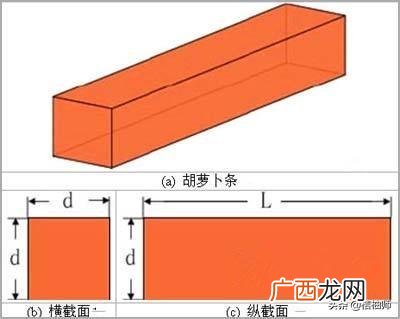 圆柱横截面是什么意思,横截面是什么意思小学？
