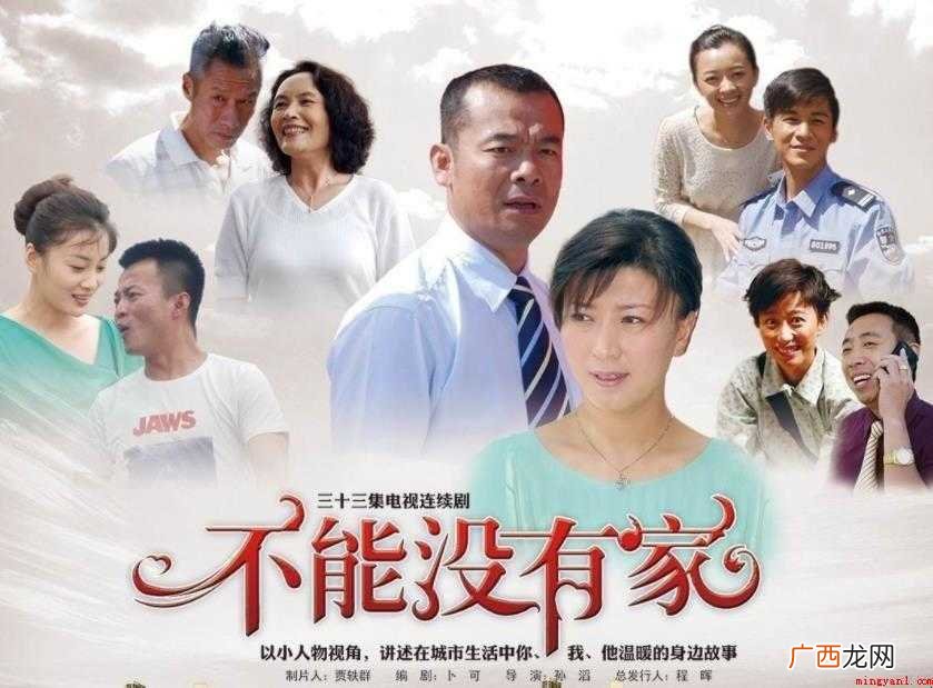 《不能没有家》剧情简介是什么