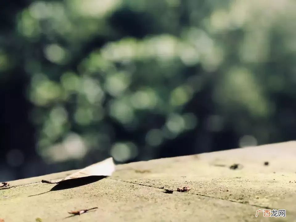 翻然醒悟和幡然醒悟的区别是什么,幡然醒悟和幡然悔悟的区别？