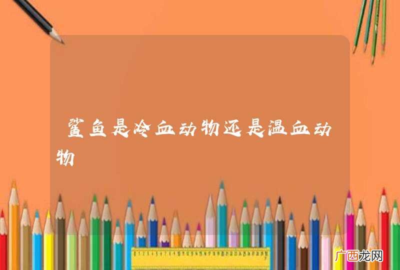 鲨鱼是冷血动物还是温血动物