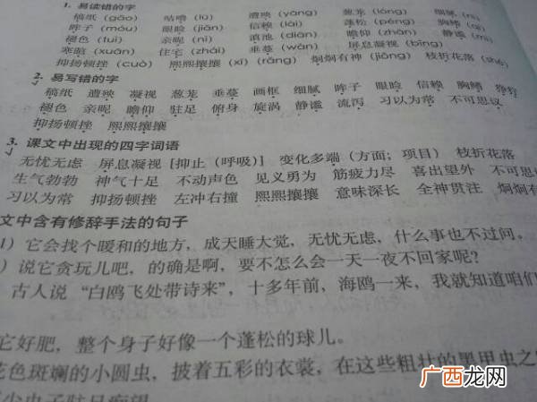 五年级好词,五年级作文优美词语？