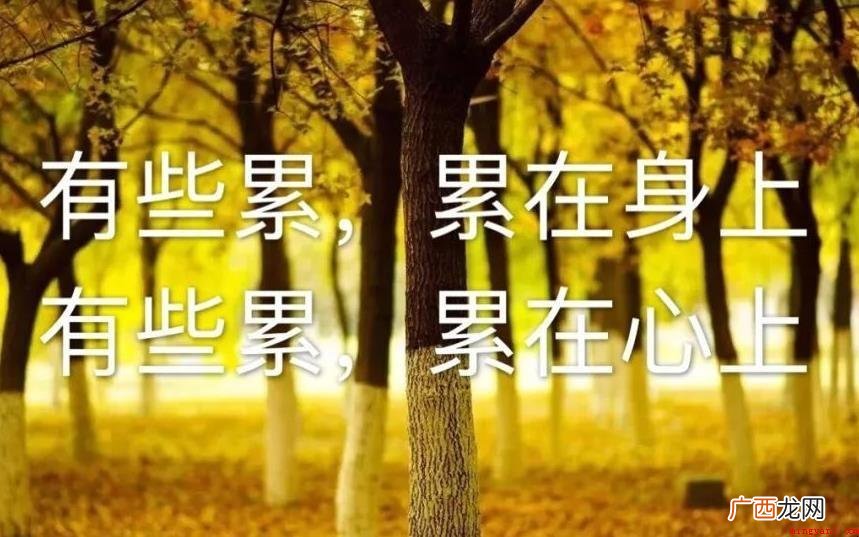 生活累的句子说说心情有哪些
