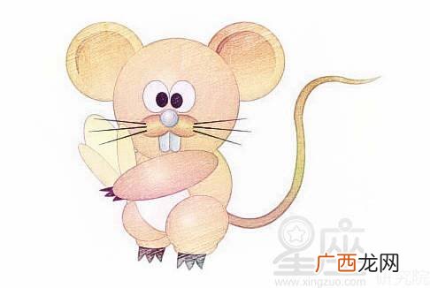 属鼠的和什么相冲,属鼠与什么属相适合做姐弟？
