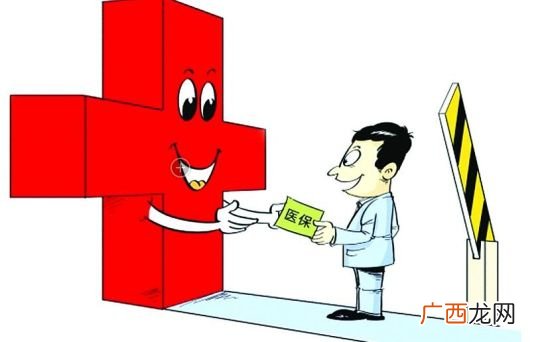 宠物医疗保险在哪买详细步骤解读,养殖狗可以办理保险吗？