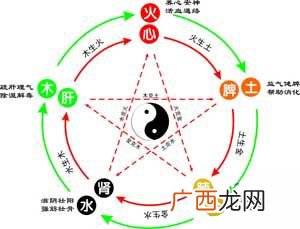 怎么看五行属什么,梦幻西游物品和召唤兽的五行怎么看？