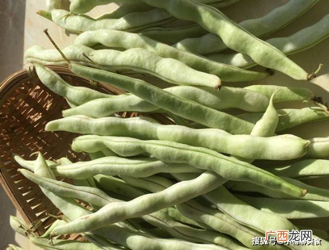 100克豆角的热量是多少,豆角是高脂物吗？