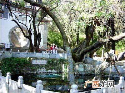 蝴蝶泉位于哪个省,五朵舍花讲哪的事？