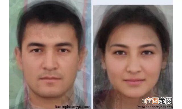 图兰人是什么人,流放者柯南有多少个种族？