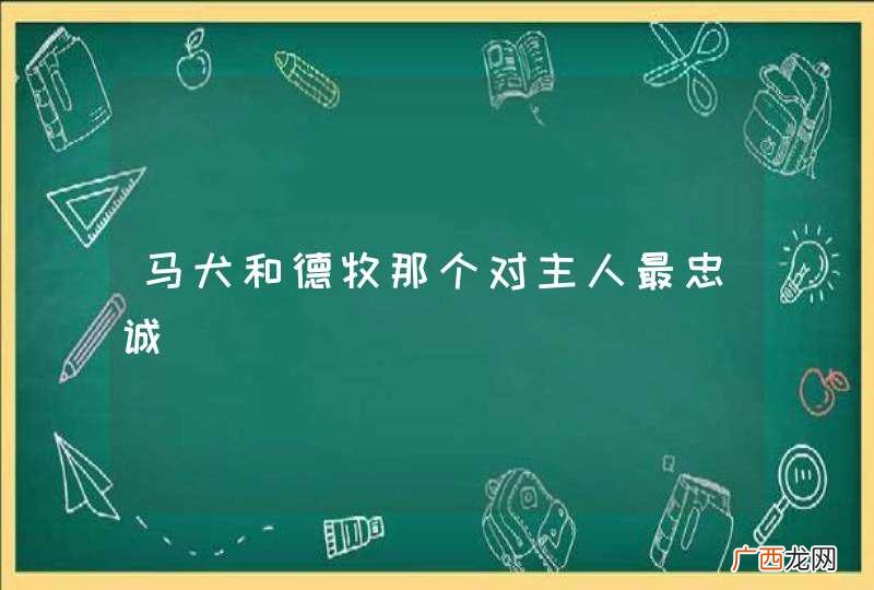 马犬和德牧那个对主人最忠诚
