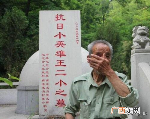 王二小的原型人物简介,小英雄的故事有哪些？