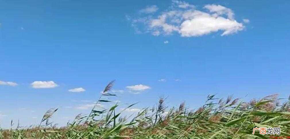 描写天气的成语有哪些