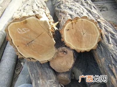 槐木和榆木哪一种更结实,多粗的松木适合做房梁？
