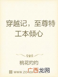 小说开头一般有啥作用,开头环境描写的作用？