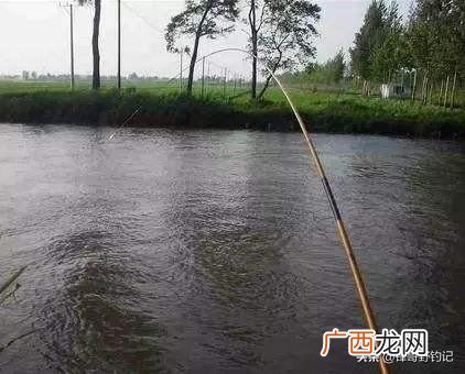 钓鱼饵料有哪些,在河里钓鱼用什么鱼饵比较好？