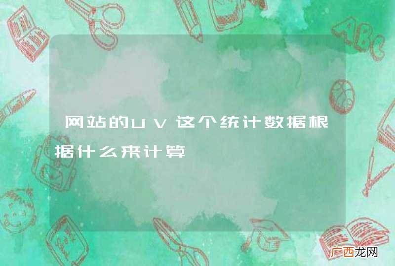 网站的UV这个统计数据根据什么来计算