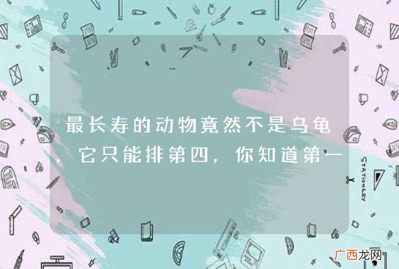 最长寿的动物竟然不是乌龟，它只能排第四，你知道第一是谁吗？