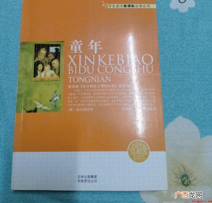 中学生必读书目包括:繁星 初中生必读书目《童年》读后感怎么写