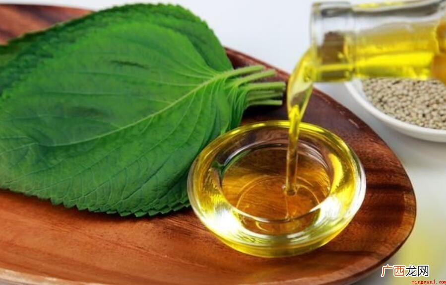 苏子油怎么吃最好是_健康频道 苏子油怎么吃最好