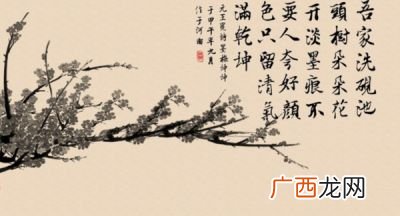 墨梅古诗诗句意思,墨梅表达了作者怎样的思想品格？