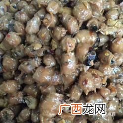 知了怎么吃比较好,带翅膀知了怎么做最好吃？