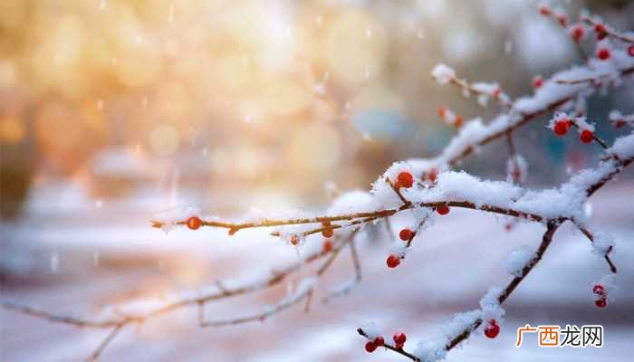 母亲去世前我梦到下雪