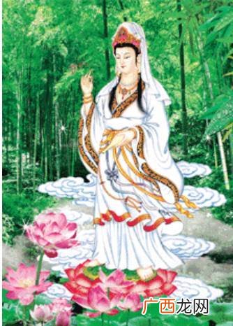 观音指什么动物,菩萨指什么生肖？