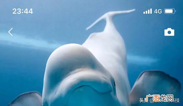 微信如何发朋友圈,微信怎样发朋友圈？