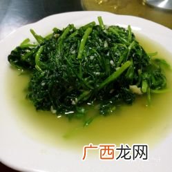 筒篙菜是什么,我在电视里面看到有种叫野筒篙菜的,不记得它的作用是什么了?