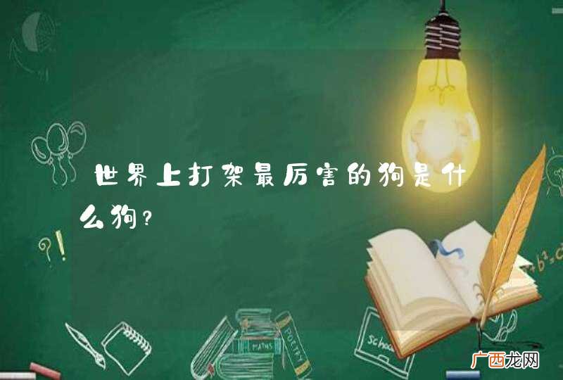 世界上打架最厉害的狗是什么狗？