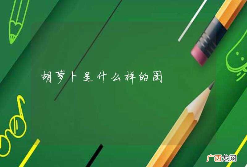 胡萝卜是什么样的图