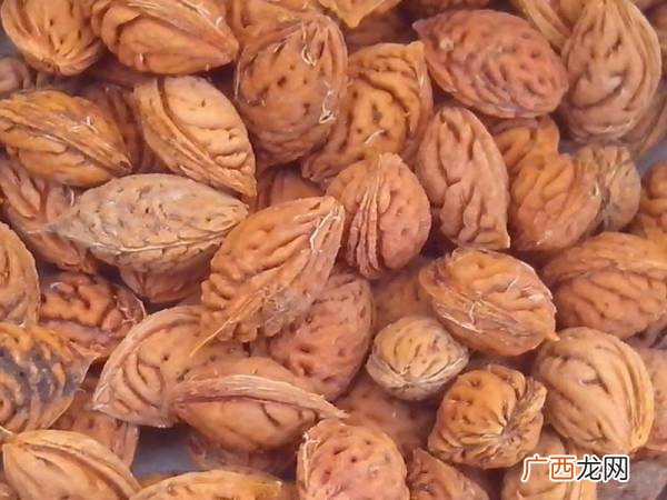 桃子核是什么,桃子核成分？