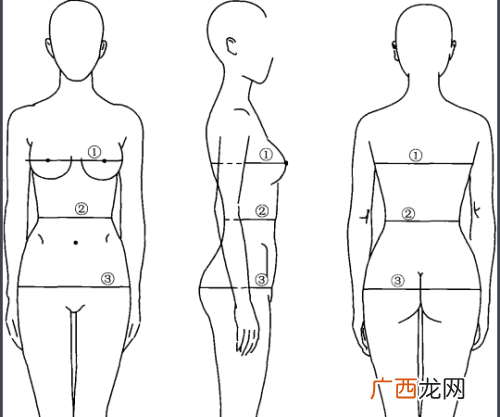 女生三围是哪三围,160厘米的女性,标准三围应该是多少？