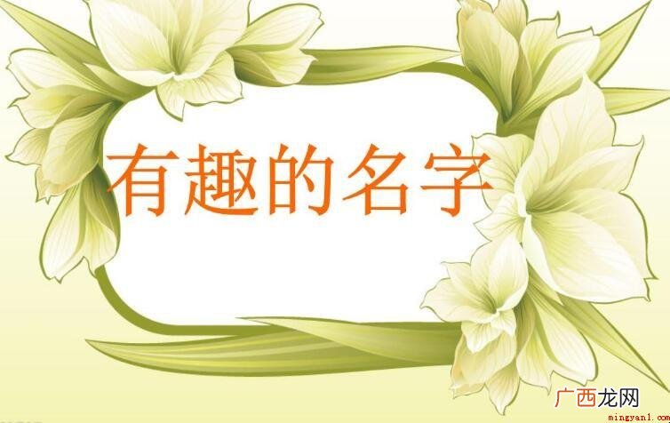 有趣的网名有哪些_情侣网名 有趣的网名有哪些