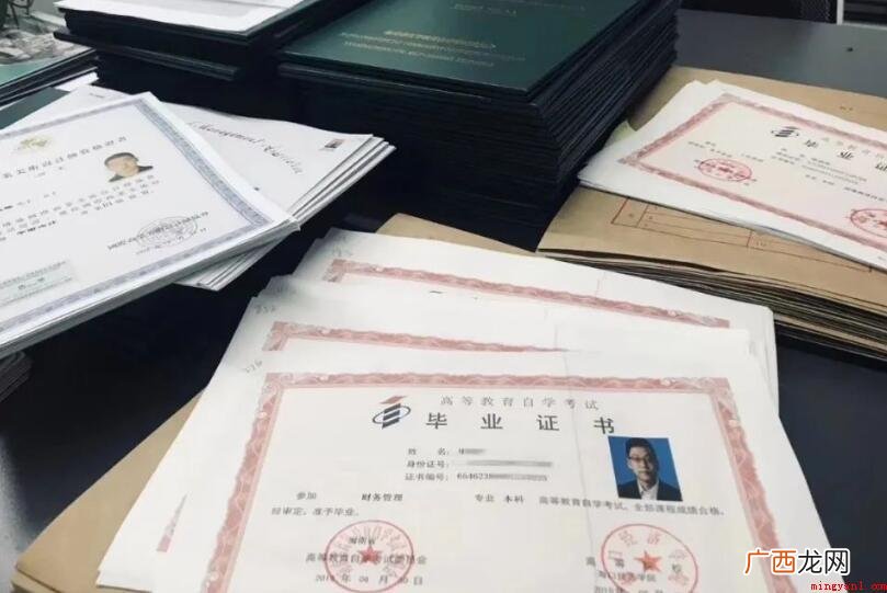 专科跟大学本科有什么不同 大专跟本科有什么区别