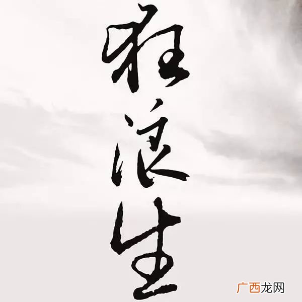 了却君王天下事什么意思,“八百里分麾下炙，五十弦翻塞外声”是什么意思？