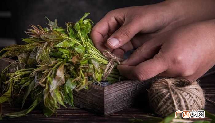 梦到和别人一起挖野菜的梦境解析