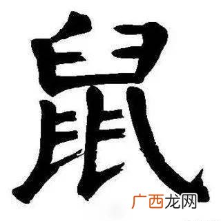鼠字的来历,十二生肖的来历简短介绍？