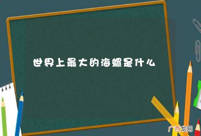 世界上最大的海螺是什么