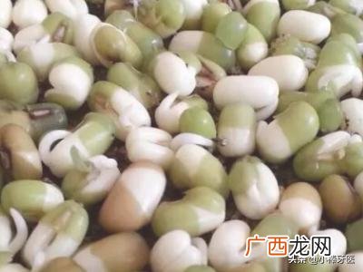 如何快速发豆芽,如何发豆芽又快又好?