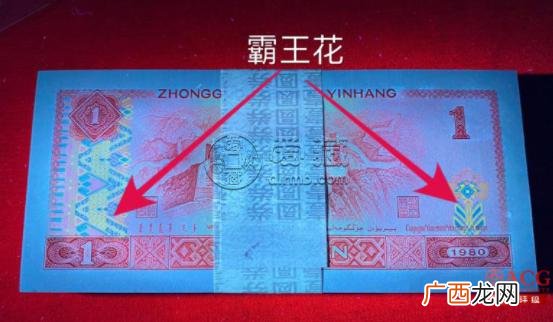 霸王花是什么,801霸王花介绍？