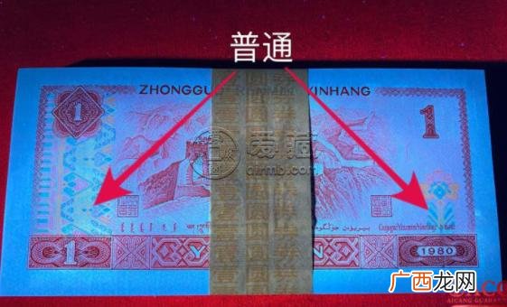 霸王花是什么,801霸王花介绍？