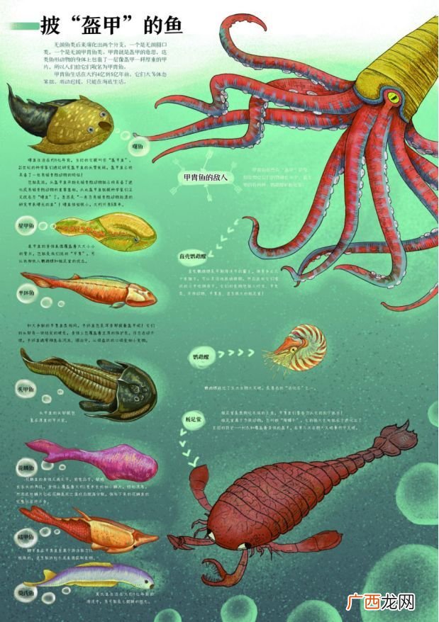 泥盆纪和二叠纪分别什么意思,寒武纪，二叠纪，三叠纪，侏罗纪，白垩纪，泥盆纪还有什么?现在是属于什么？