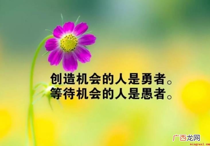 人这一辈子经典句子有什么 人这一辈子经典句子有哪些