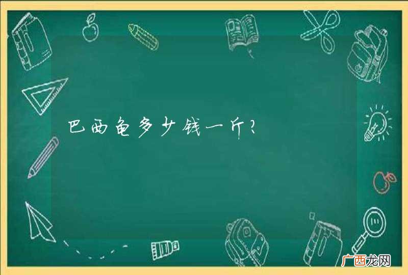 巴西龟多少钱一斤？