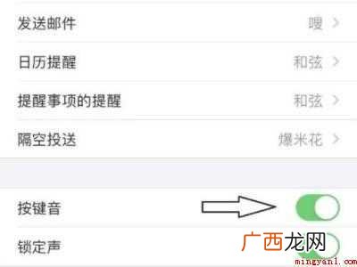 iphone11键盘打字没声音的操作步骤 iphone11键盘打字没声音